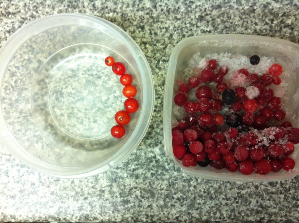 The season's first ripe redcurrants alongside the class of 2014