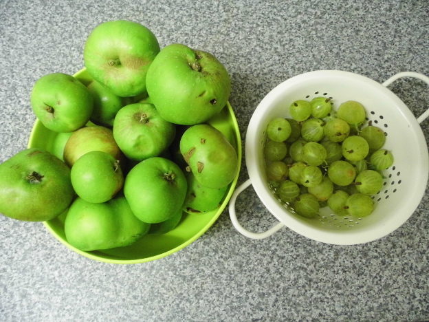 Windfall apples with some gooseberries
