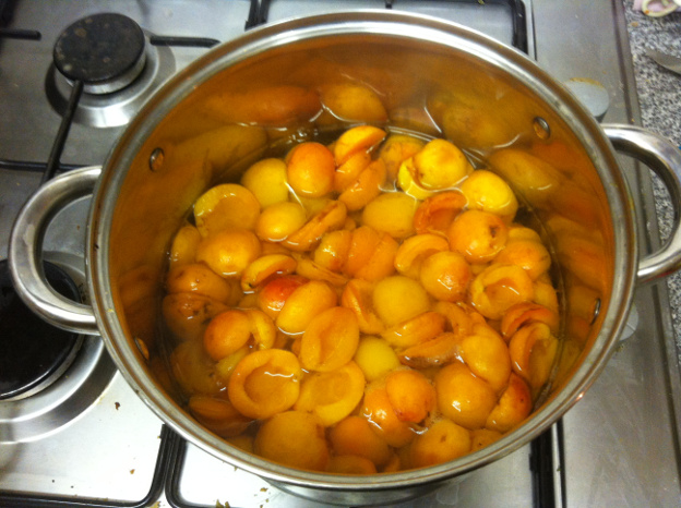 Apricots in a pan