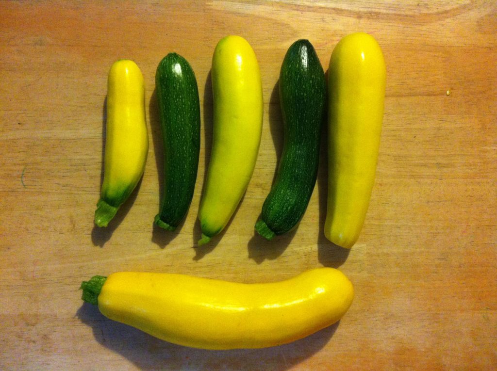 Six courgettes, four yellow two green
