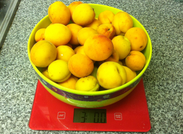Apricots being weighed