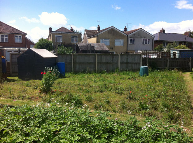 Our new allotment. Uncultivated in this photo.