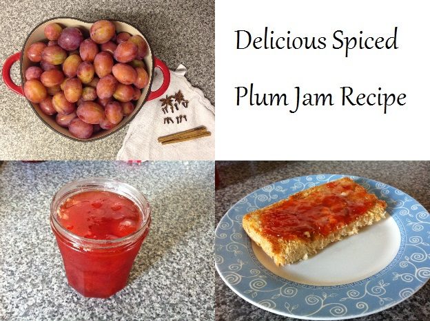 Spiced plum jam recipe