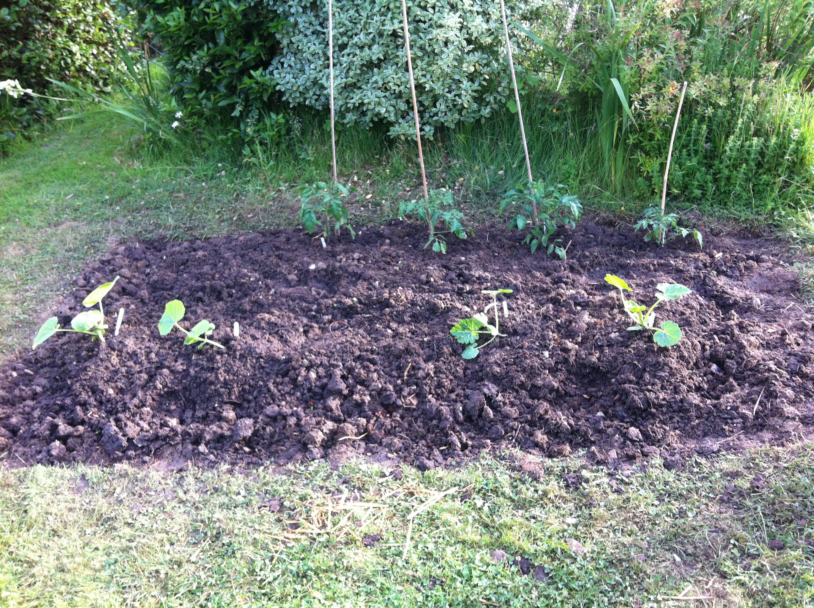 Official Unveiling of the Pumpkin Patch - Slightly Self-Sufficient 